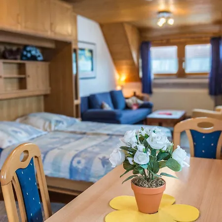 Studiowohnung Haus 18 *